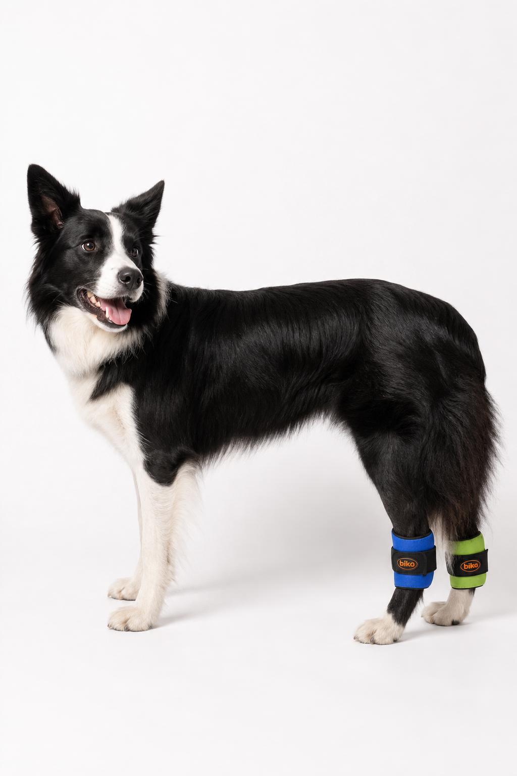 Biko K9 Weight Cuffs