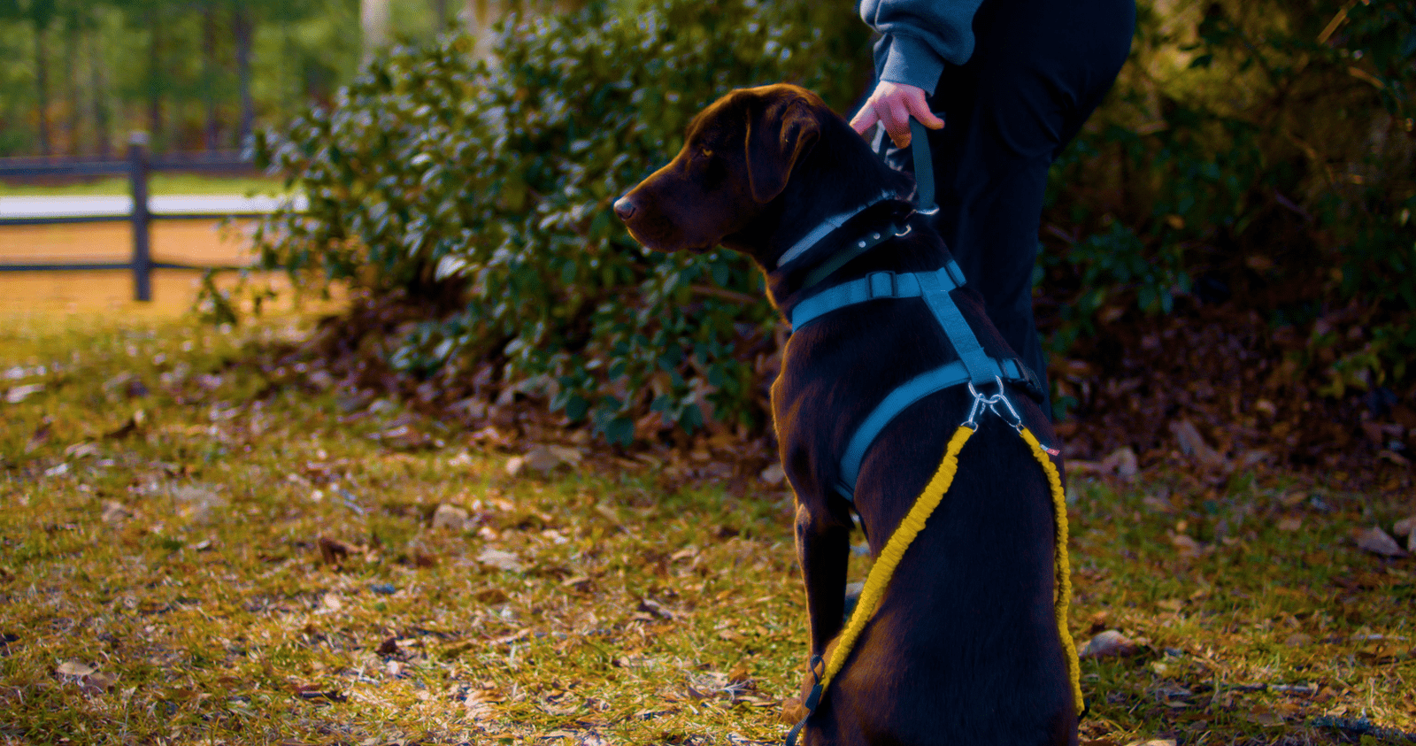 Working Lab wearing Biko Sports Bands